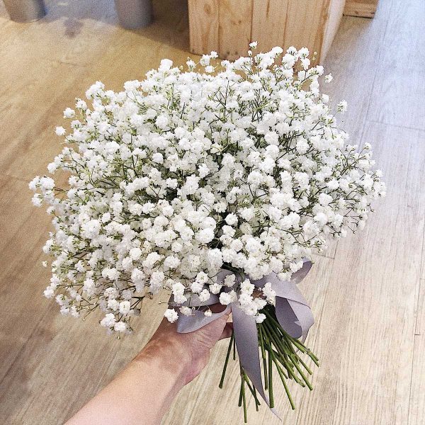 Các loại hoa màu trắng đẹp nhất và ý nghĩa