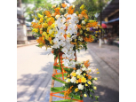 Kệ Hoa Chúc Mừng Nắng Xuân